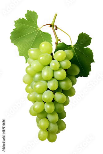 grapes with stem and leaves, with water drop effect (transparent background)