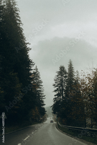 driving through the fog © Lesika