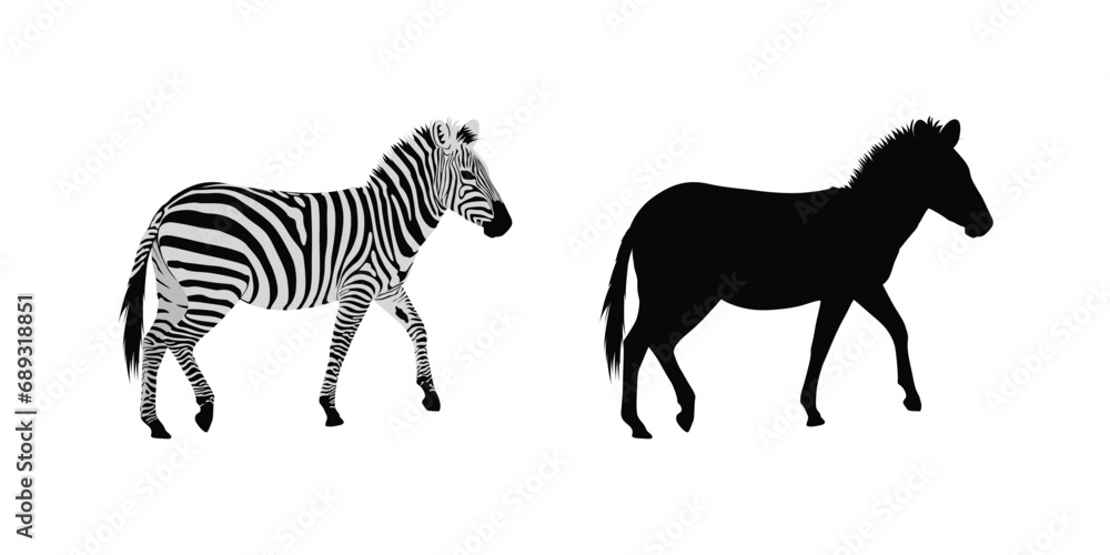 Fototapeta premium Hand drawn zebra silhouette design