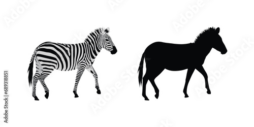 Hand drawn zebra silhouette design