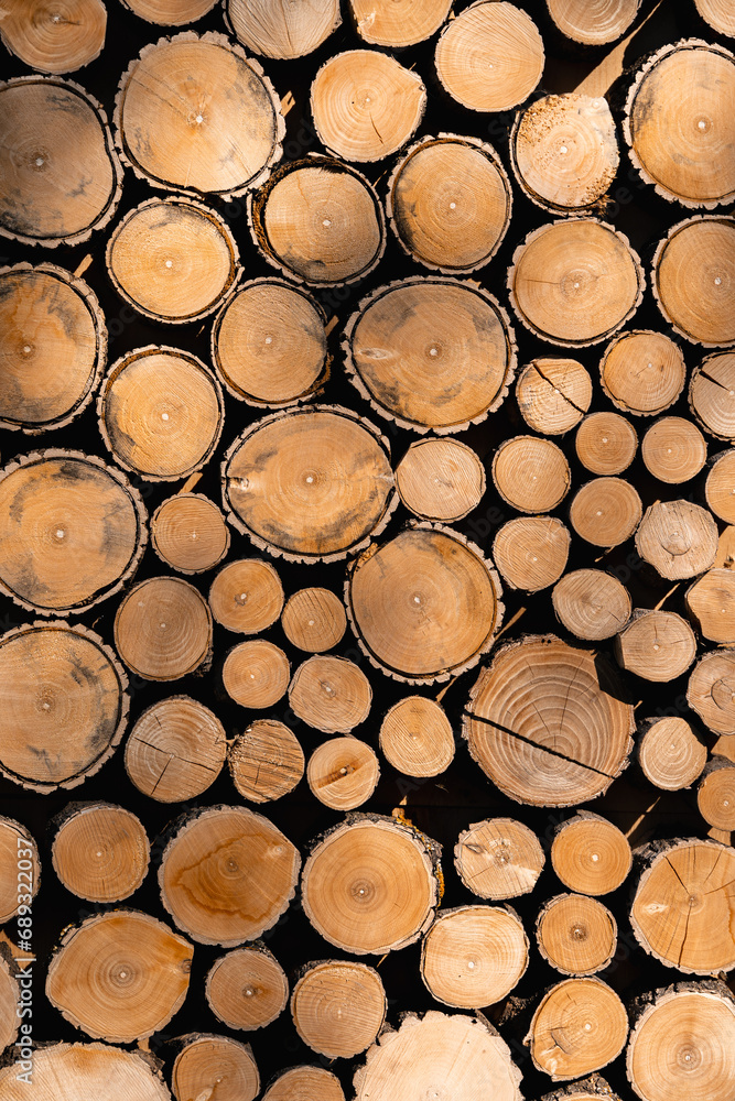 Fototapeta premium A wooden panel made of sawn acacia trunks of different sizes and textures.