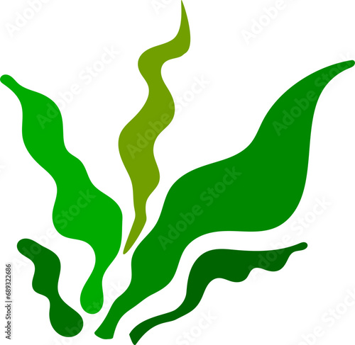 Green seaweed isolated on transparent background, ready for element or retouch design