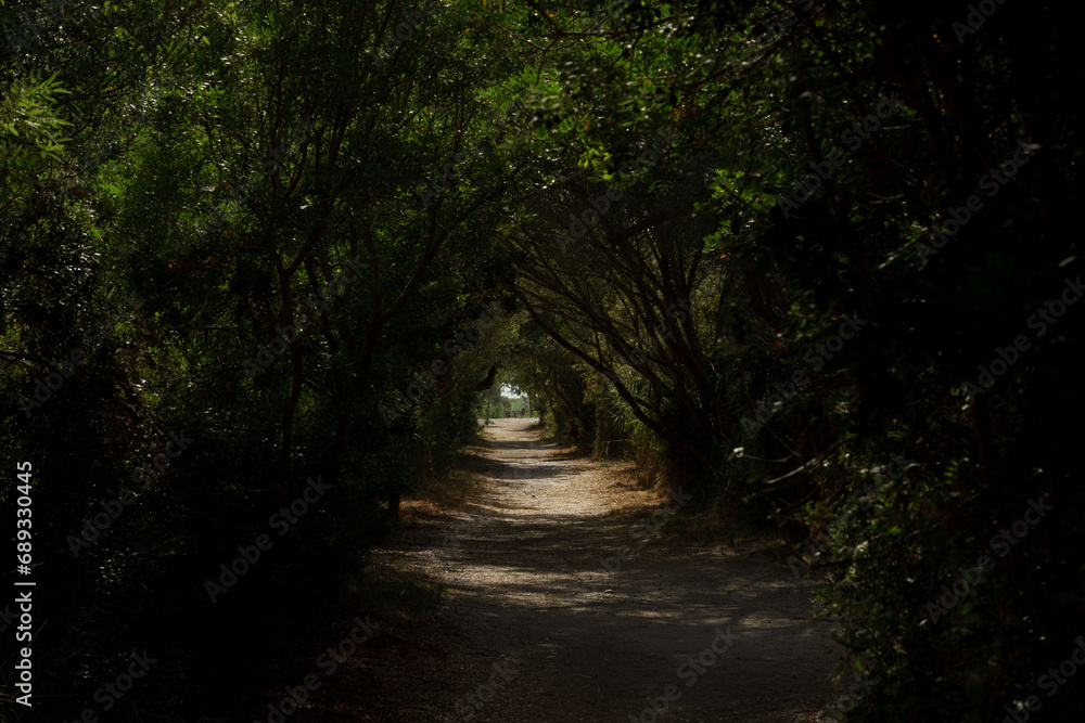 Obraz premium Albufera de Mallorca Natural Park, Muro, Mallorca island, Spain