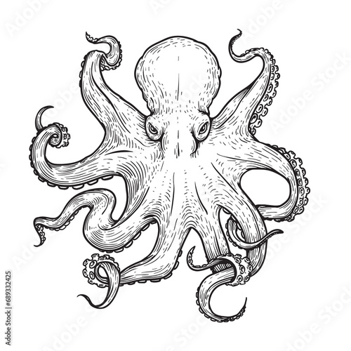 Octopus in sketch hand drawn style. Retro vintage sea monster drawing. Best for seafood and nautical designs. Vector illustration on white.