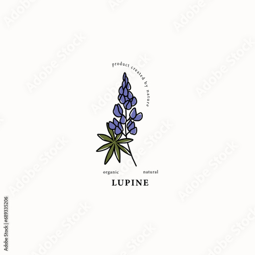 Line art lupin flower drawing
