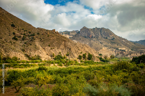 Landscape of the Ricote Valley orchard as it passes through Ojós, Region of Murcia, Spain