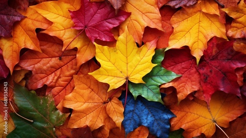 A cluster of vibrant autumn leaves  each leaf showcasing its unique colors and textures.