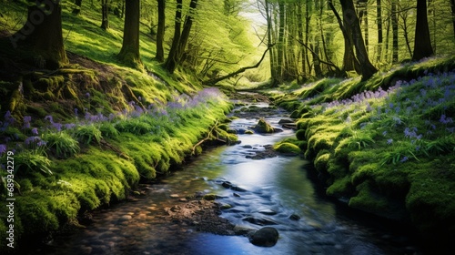 A gentle stream flowing through a moss-covered forest, surrounded by blooming bluebells.