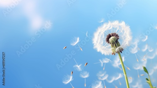 Image of a dandelion in a clear blue sky.
