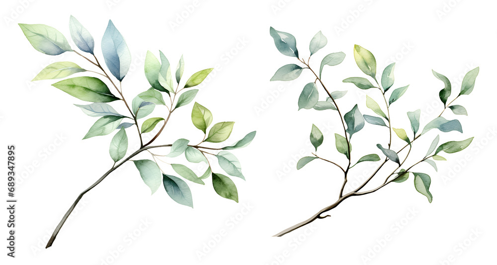 Branch leaf, watercolor clipart illustration with isolated background.