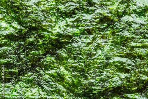 Nori leaf  dried green algae  close-up of surface  green background