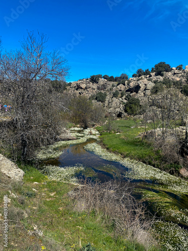 primavera en castilla rios con flores