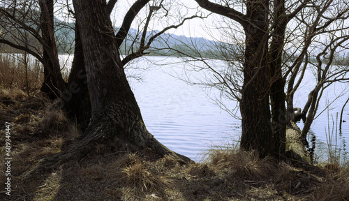 Wallpaper Mural "Lake landscape in spring. Lake seen through trees. Revine Lakes, Italy." Torontodigital.ca
