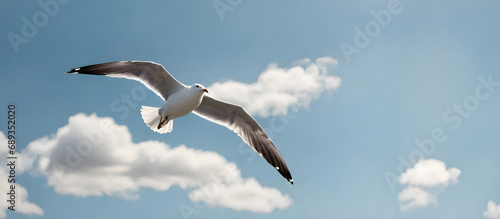 Copy space with clouds in the blue sky and a seagull flying over the sea. photo