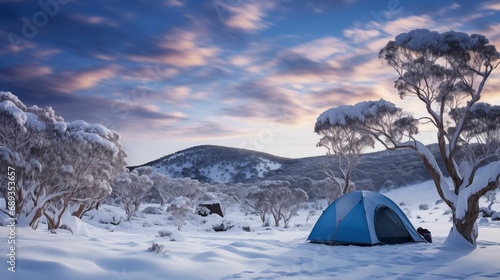 Winter landscape capturing the essence of camping in the snowy mountains.