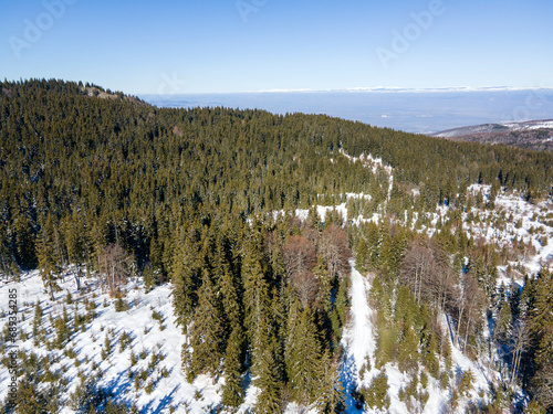 Aerial Winter view of Vitosha Mountain, Bulgaria photo