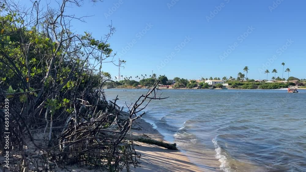 A harmonious view at the confluence of the river and the sea with trees on the bank. Fusion of two aquatic worlds in riverside vegetation with a touch of freshness in this setting. A harmonious view at the confluence of the river and the sea with trees on the bank. Fusion of two aquatic worlds in riverside vegetation with a touch of freshness in this setting.