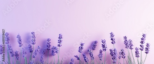 flowers on lavender background, photo