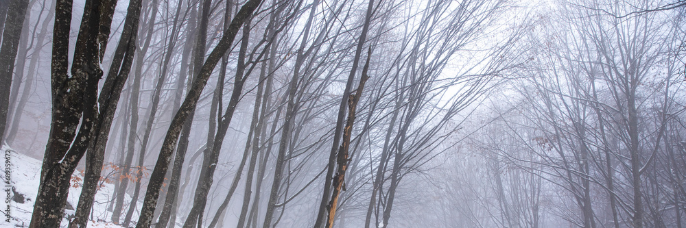 beautiful winter landscape in the forest,Armenia beautiful winter landscape in the forest,Armenia