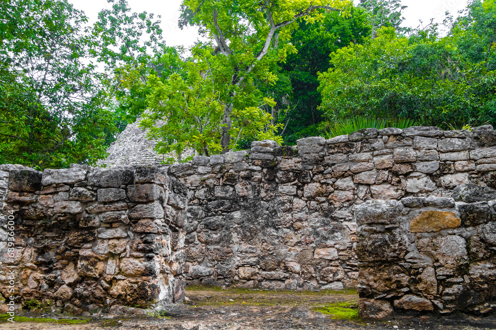 Coba Maya Ruins ancient buildings pyramids in tropical jungle Mexico. Coba Maya Ruins ancient buildings pyramids in tropical jungle Mexico.