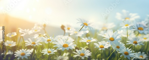 spring background of grass and flowers spring © olegganko