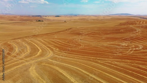 USA, Idaho, Genesse. Palouse. Wheat fields in the Palouse hills photo