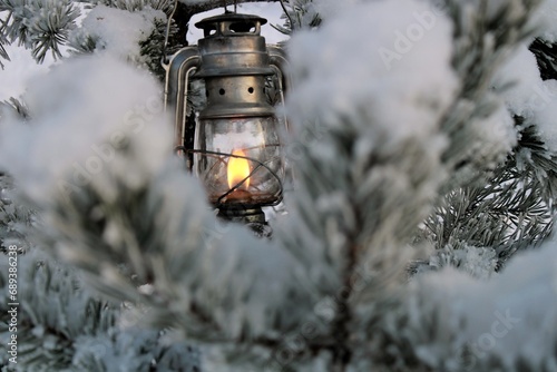  winter kerosene lantern shines in the branches of a pine tree.