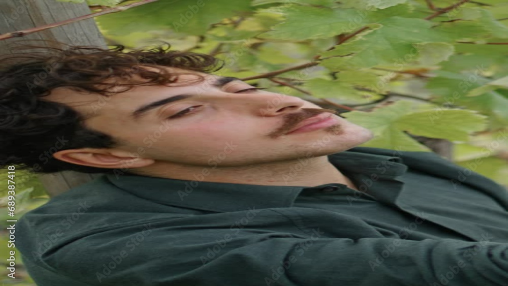 Winegrower eating sweet grapes under vine bush vertical closeup. Worker relaxing Winegrower eating sweet grapes under vine bush vertical closeup. Worker relaxing