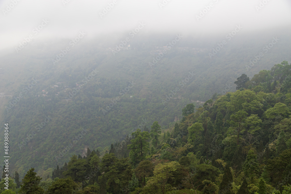 Majestic view of himalayan mountains, surrounded by dense green forests of senchal forest.shot in darjeeling the highest peak of west bengal. Majestic view of himalayan mountains, surrounded by dense green forests of senchal forest.shot in darjeeling the highest peak of west bengal.