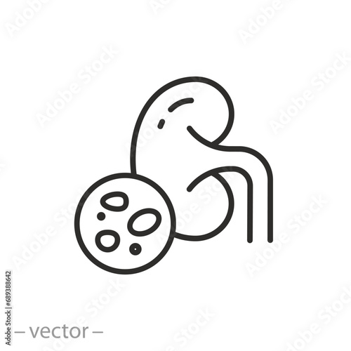 stones in the kidneys icon, urinary system problem, thin line symbol - editable stroke vector illustration