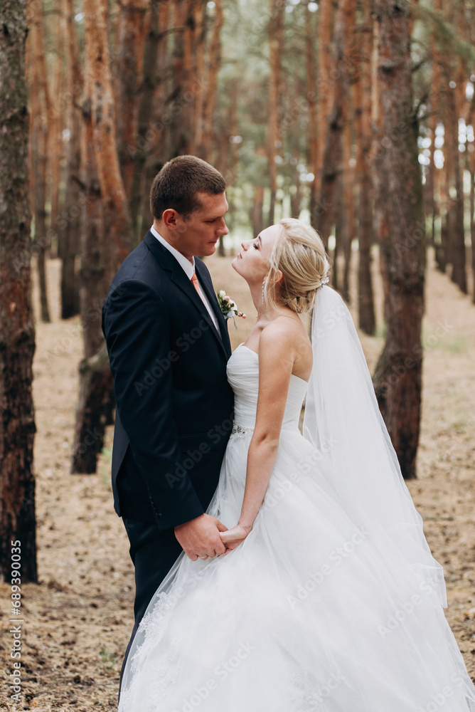 Bride and groom walk in the forest on their wedding, photo session. Bride and groom walk in the forest on their wedding, photo session.