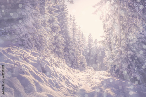 Traumhaft verschneite Winterlandschaft