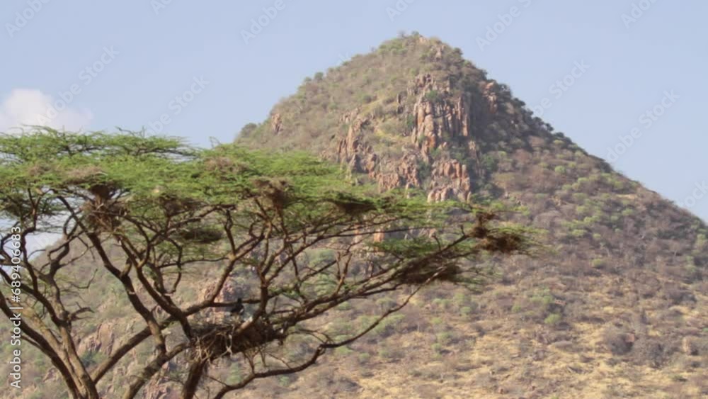 Beautiful Samburu national reserve hill and African trees