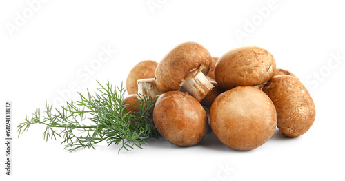 Set of raw champignon mushrooms with dill on white background