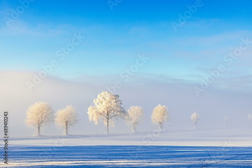 Line of trees in a misty snowy landscape view in the countryside