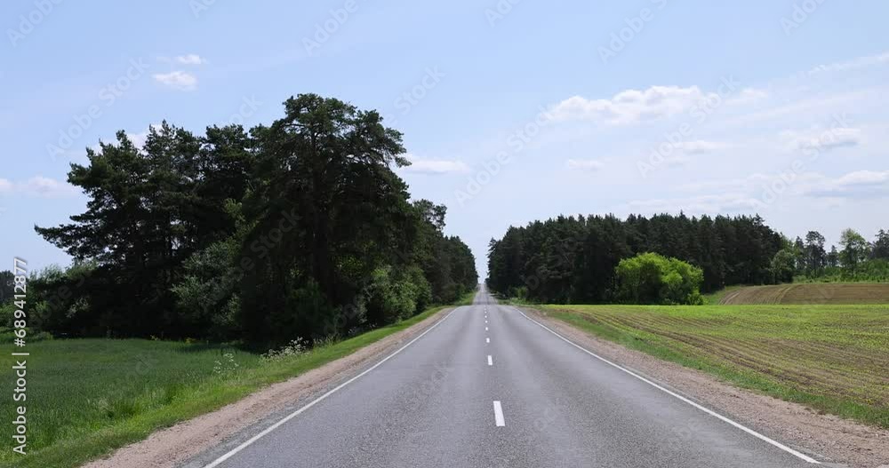 paved road with trees in the forest in sunny weather, trees along the paved road for cars