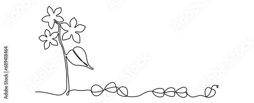 Buckwheat plant with seeds on white background