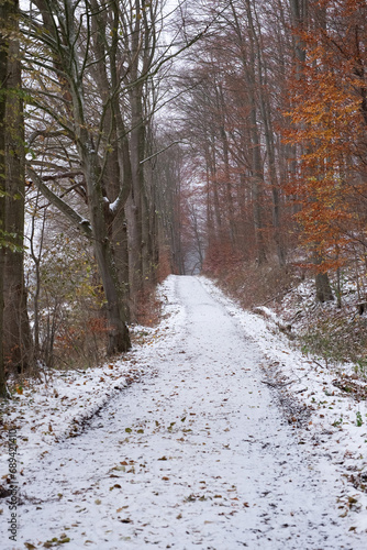 Forest path covered with white snow in a forest with orange autumn foliage in Germany.