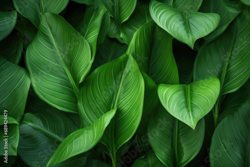 Harmonious tropical green leaf background. Balanced symmetry  soothing colors  nature s peaceful embrace
