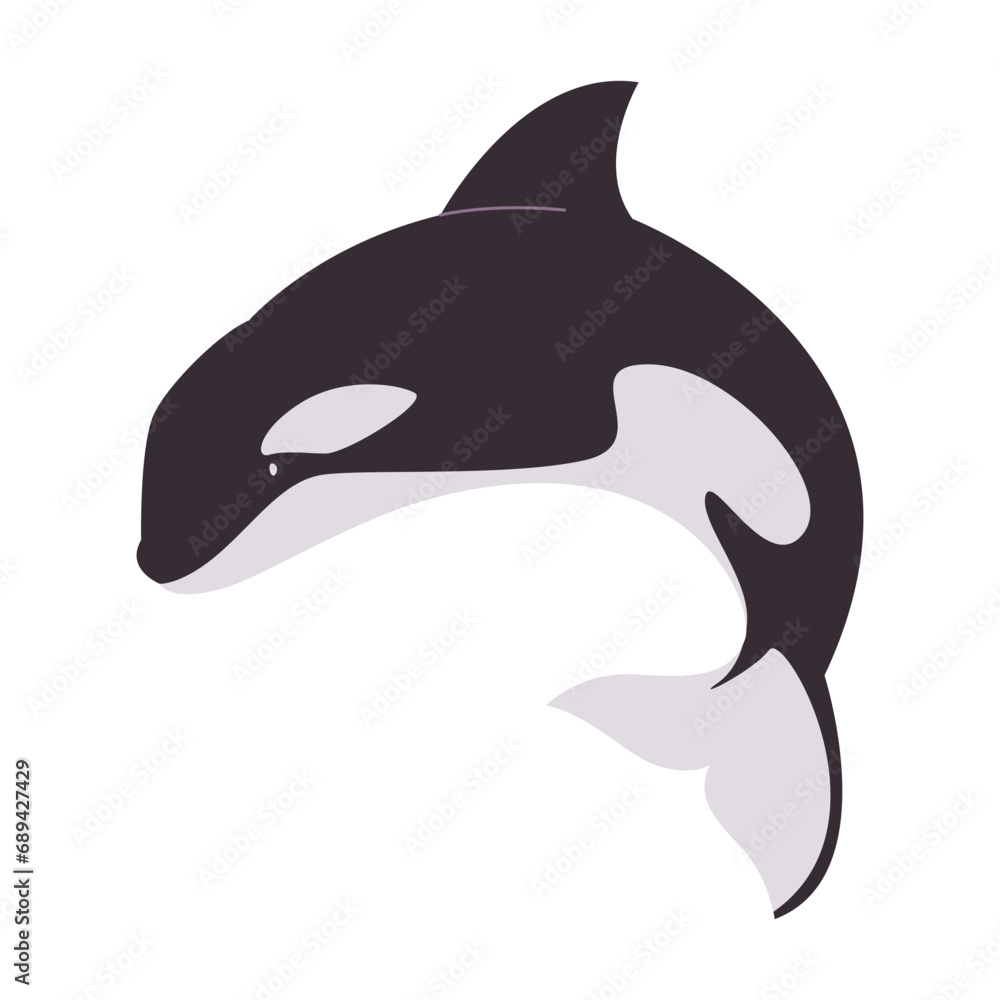 Naklejka premium black and white color orca big animal marine mammal large predator killer wild nature ocean