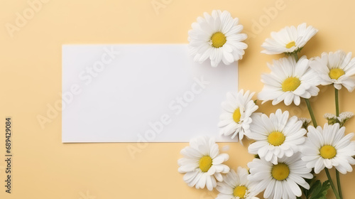 Soothing chamomile and greeting card in a minimalist composition, copy space © Eddy Drmwn