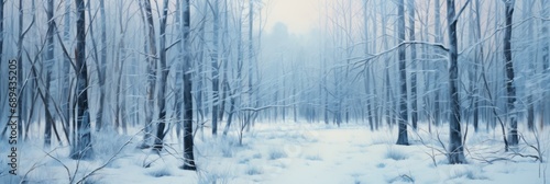 A Serene Winter Wonderland: Soft Blue and Gray Shadows Cast by Snow-Clad Trees in a Peaceful Forest Landscape