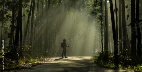 Photographer is taking photo while exploring in the pine forest for with strong ray of sun light inside the misty pine forest for photography and silhouette photo photo