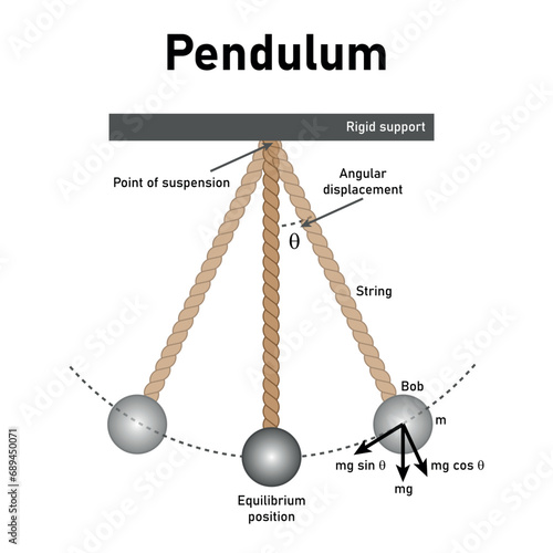 Simple pendulum diagram. Rigid support, point of suspension, angular displacement. Simple harmonic motion. Scientific resources for teachers and students. Vector illustration.