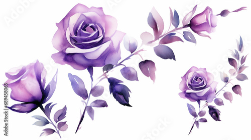 Watercolor floral in purple. Transparent rose leaves with purple color.