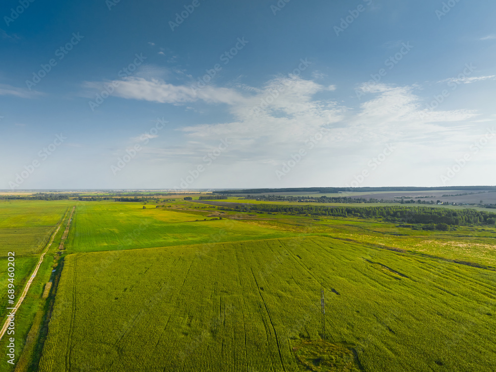 Obraz premium Farm green fields giving good harvest grow against blue sky