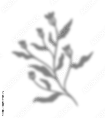 Fototapeta Naklejka Na Ścianę i Meble -  Flower Shadow Illustration Graphic Element