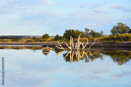 lake and trees