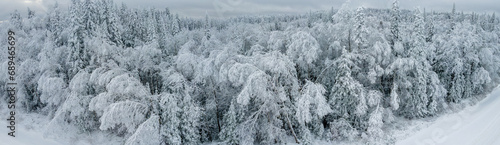 Panoramic view looking down onto a forest covered in very heavy snow. Many of the trees are bent from the weight of the snow. The sky is full of gray clouds. 