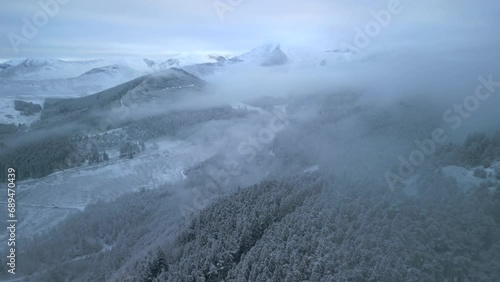 Wallpaper Mural Winter mountain landscape with reverse flight revealing pine forest hillside with cloud and mist. Whinlatter Forest, English Lake District, Cumbria, UK. Torontodigital.ca